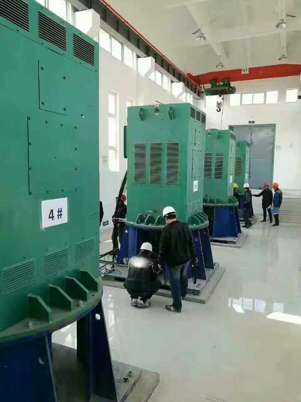 清城某污水处理厂使用我厂的立式高压电机安装现场