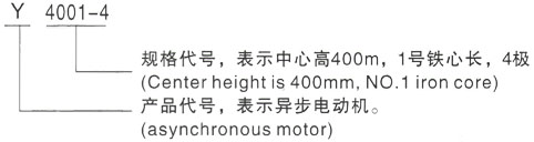 西安泰富西玛Y系列(H355-1000)高压清城三相异步电机型号说明